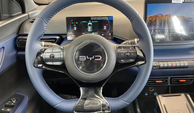 BYD Dolphin Mini 2027 completo