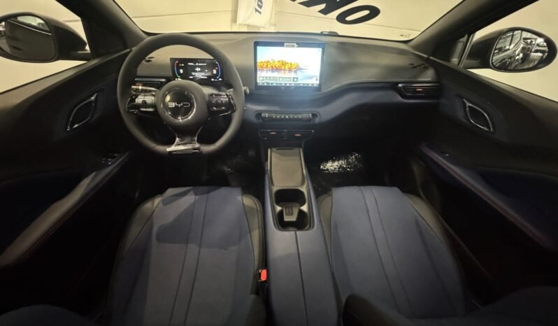 BYD DOLPHIN MINI GL 2027 completo