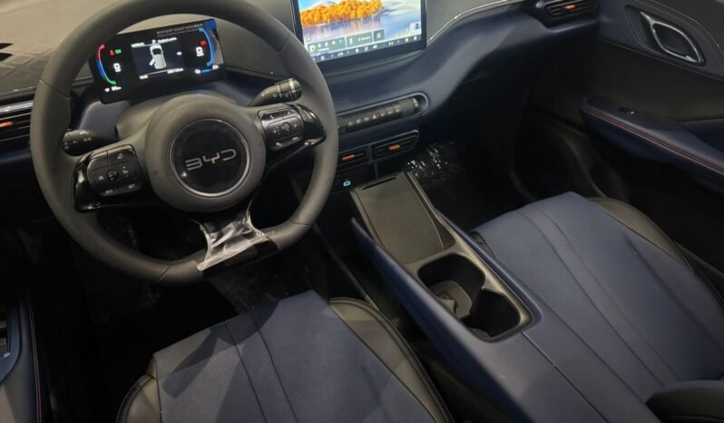 BYD DOLPHIN MINI GL 2027 completo