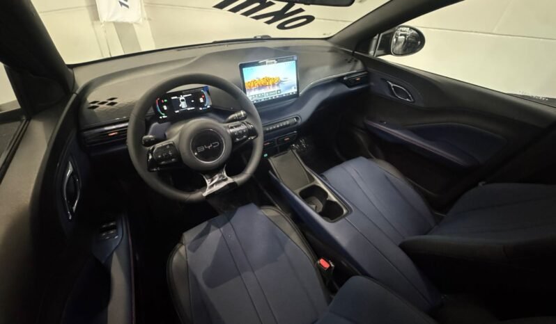 BYD DOLPHIN MINI GL 2027 completo