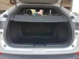 Fiat Fastback Impetus 2024 completo