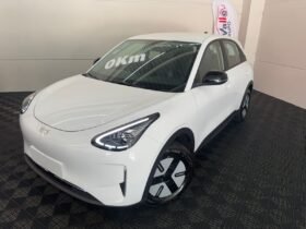 GEELY EX2 PRO 2026