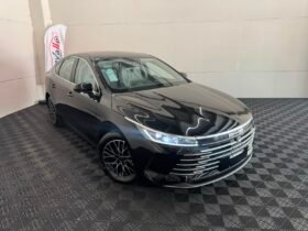 BYD King GL 2026