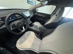 BYD King GL 2026 completo