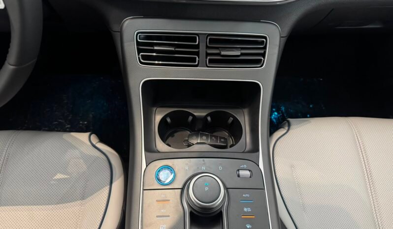 BYD King GL 2026 completo