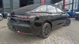 BYD King GL 2027 completo