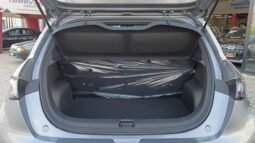 BYD Dolphin EV GS 2027 completo