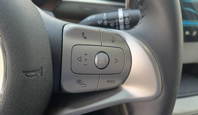 BYD Dolphin EV GS 2027 completo