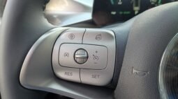 BYD Dolphin EV GS 2027 completo
