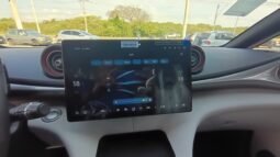 BYD Dolphin EV GS 2027 completo