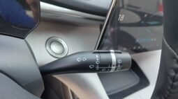 BYD Dolphin EV GS 2027 completo