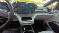 BYD Dolphin EV GS 2027 completo