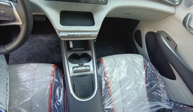 BYD Dolphin EV GS 2027 completo