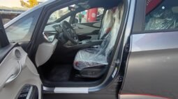 BYD Dolphin EV GS 2027 completo