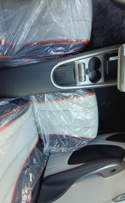 BYD Dolphin EV GS 2027 completo