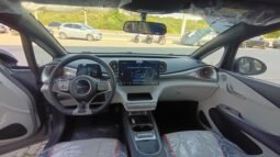 BYD Dolphin EV GS 2027 completo