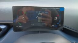 BYD Dolphin Mini GL 2027 completo