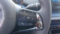BYD Dolphin Mini GL 2027 completo