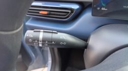 BYD Dolphin Mini GL 2027 completo