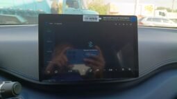 BYD Dolphin Mini GL 2027 completo