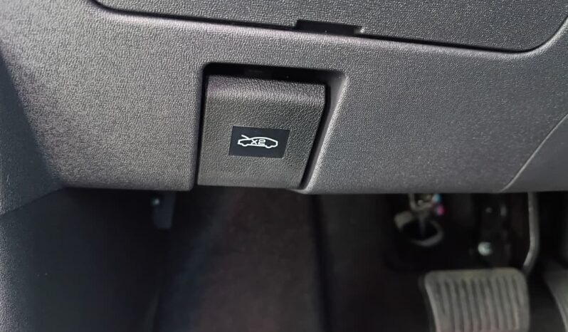 BYD Dolphin Mini GL 2027 completo