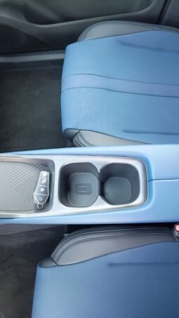 BYD Dolphin Mini GL 2027 completo