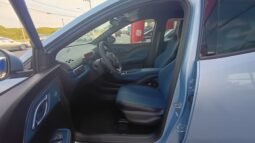 BYD Dolphin Mini GL 2027 completo