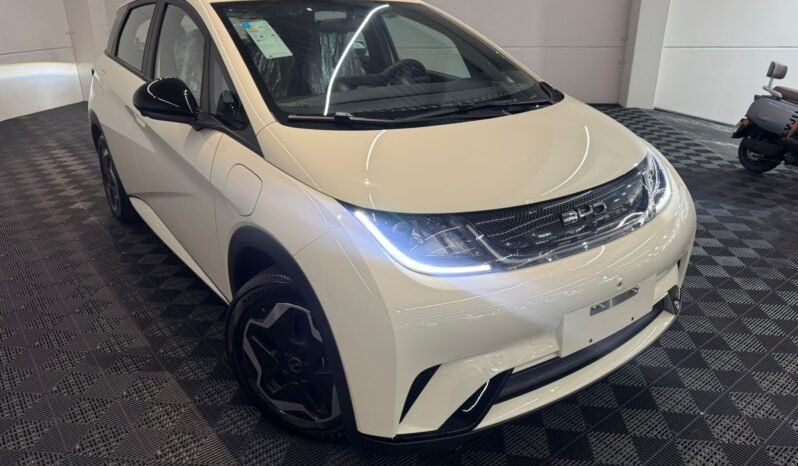 BYD Dolphin EV GS 2027 completo