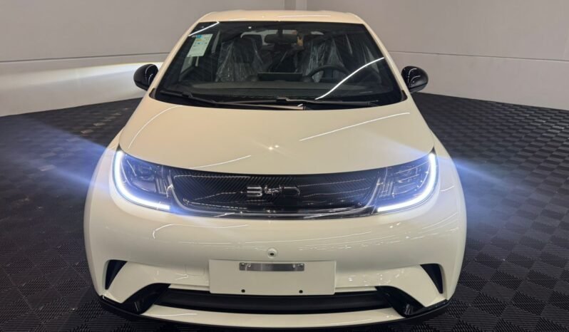 BYD Dolphin EV GS 2027 completo