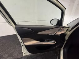 BYD Dolphin EV GS 2027 completo