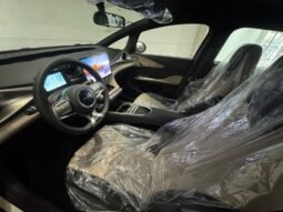 BYD Dolphin EV GS 2027 completo