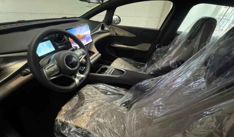 BYD Dolphin EV GS 2027 completo
