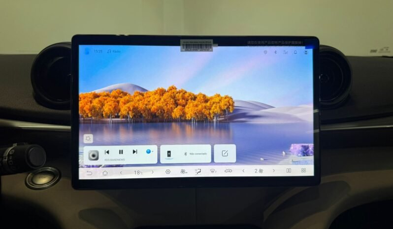 BYD Dolphin EV GS 2027 completo