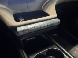 BYD Dolphin EV GS 2027 completo