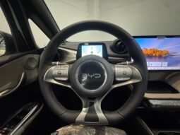 BYD Dolphin EV GS 2027 completo