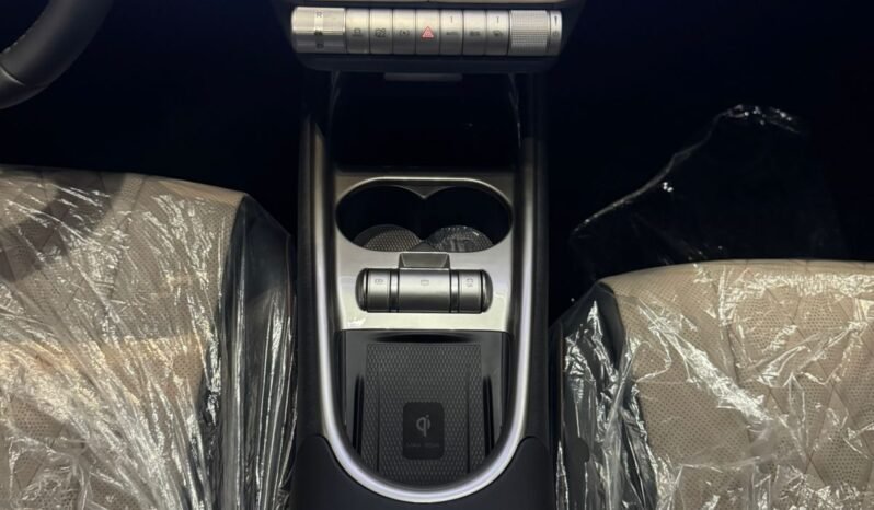 BYD Dolphin EV GS 2027 completo