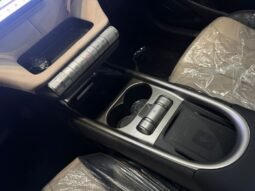 BYD Dolphin EV GS 2027 completo
