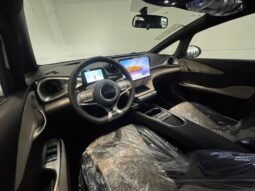 BYD Dolphin EV GS 2027 completo