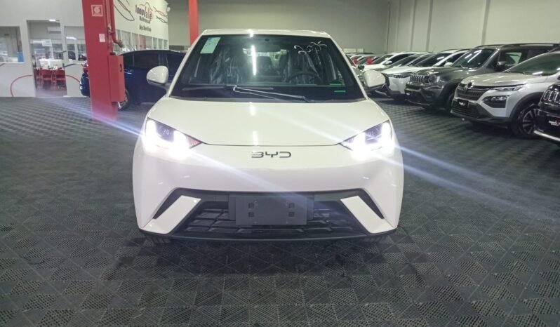BYD DOLPHIN MINI GL 2027 completo