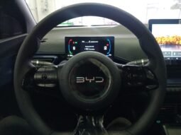 BYD DOLPHIN MINI GL 2027 completo