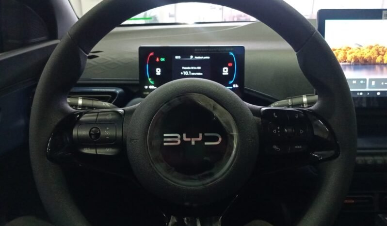 BYD DOLPHIN MINI GL 2027 completo
