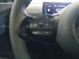BYD DOLPHIN MINI GL 2027 completo