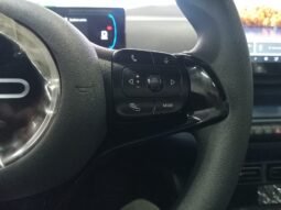 BYD DOLPHIN MINI GL 2027 completo