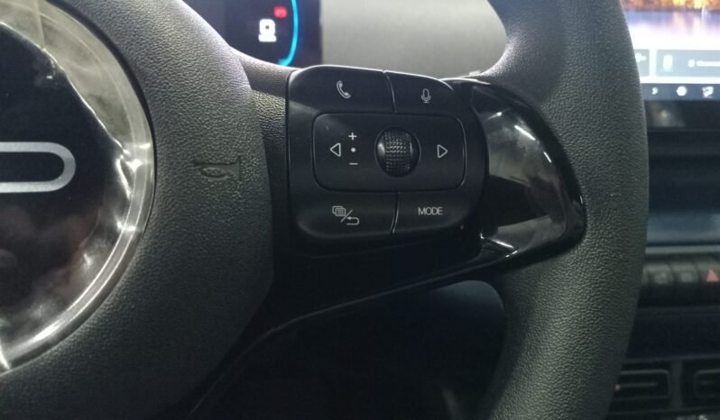 BYD DOLPHIN MINI GL 2027 completo