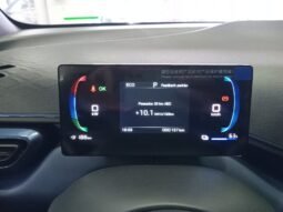 BYD DOLPHIN MINI GL 2027 completo