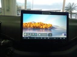 BYD DOLPHIN MINI GL 2027 completo