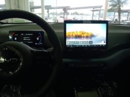 BYD DOLPHIN MINI GL 2027 completo