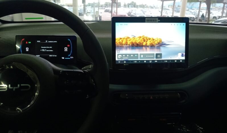 BYD DOLPHIN MINI GL 2027 completo