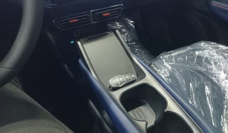 BYD DOLPHIN MINI GL 2027 completo