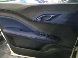 BYD DOLPHIN MINI GL 2027 completo